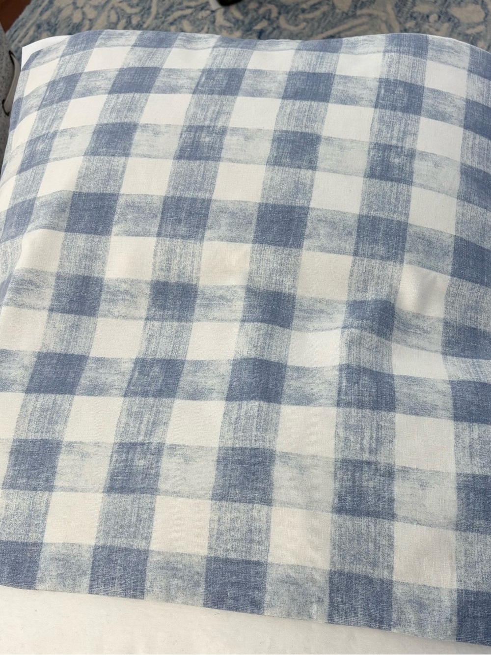 Pottery Barn 24 X 24 Blue & Ivory Check Pillow Cover
